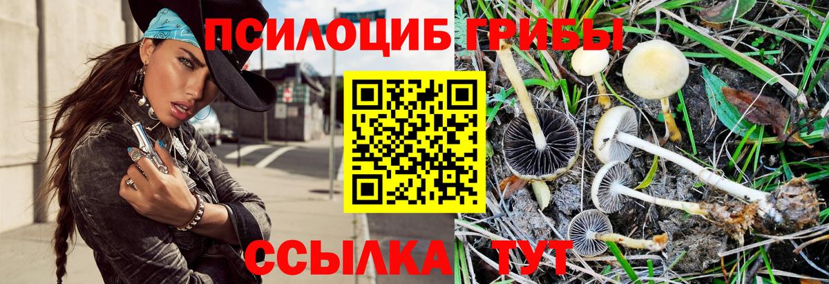 Псилоцибиновые грибы мухоморы Дмитров