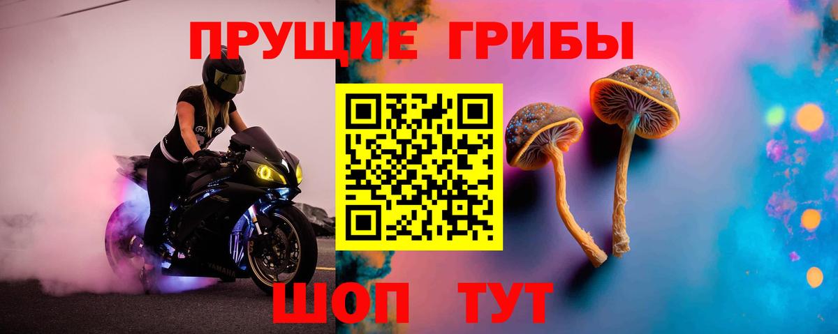 Дмитров  Галлюциногенные грибы мухоморы  где купить наркотик  Вход с VPN 